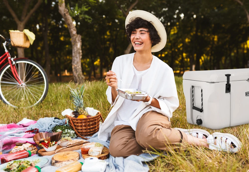 portable food cooler box