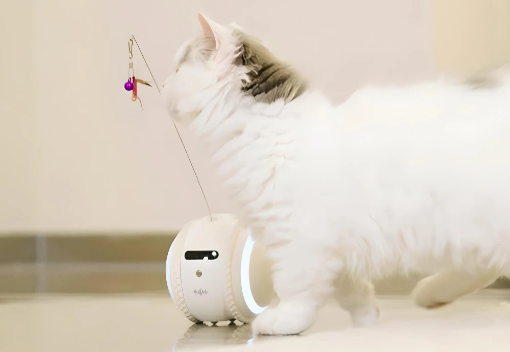 good pet cameras