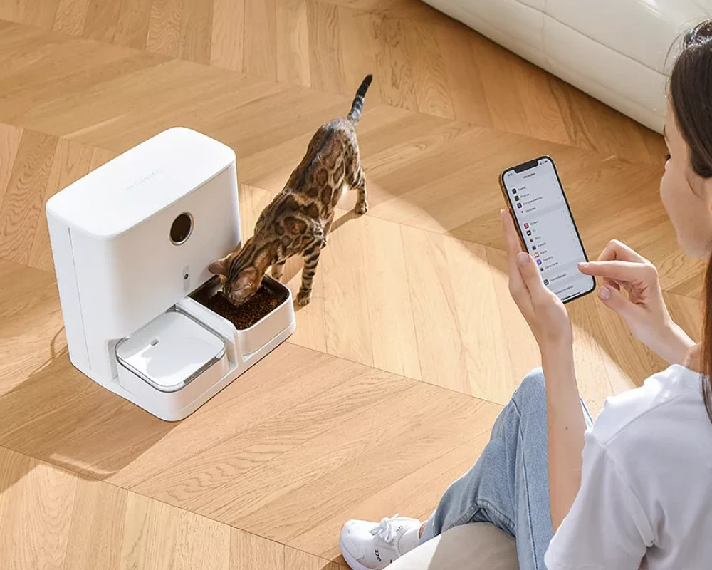 automatic pet feeder for two cats